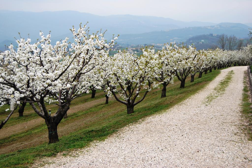 Tenuta Fortelongo Fara Vicentino Εξωτερικό φωτογραφία