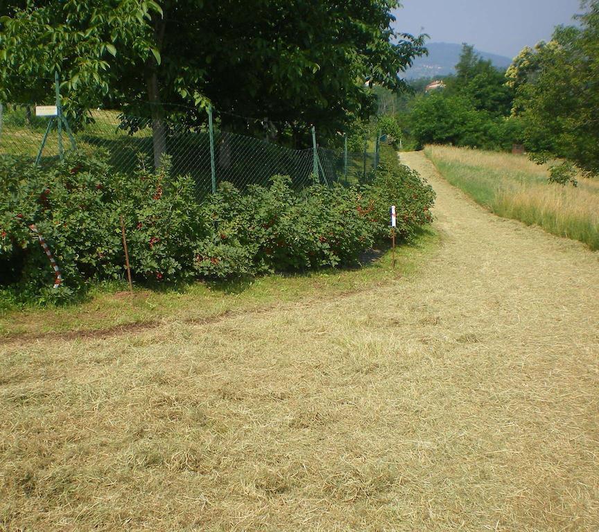 Tenuta Fortelongo Fara Vicentino Εξωτερικό φωτογραφία